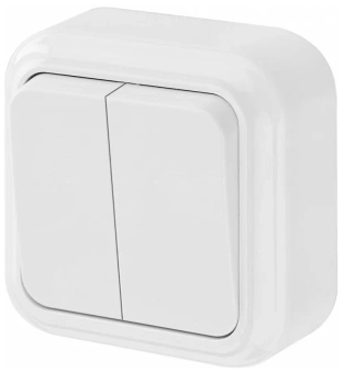 Беларусь Выключатель двухклавишный наружный